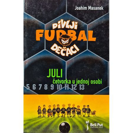 Divlji dečaci 4: Juli – četvorka u jednoj sobi – Joahim Masanek